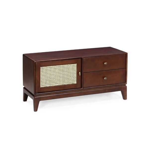 Samatva Media Console